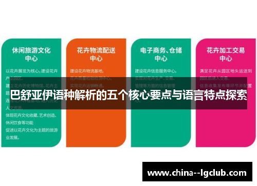 巴舒亚伊语种解析的五个核心要点与语言特点探索