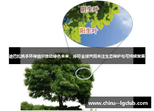 迪巴拉携手环保组织推动绿色未来,呼吁全球共同关注生态保护与可持续发展 迪巴拉携手环保组织推动绿色未来,呼吁全球共同关注生态保护与可持续发展