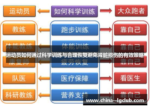 运动员如何通过科学训练与合理恢复避免肾脏损伤的有效策略 运动员如何通过科学训练与合理恢复避免肾脏损伤的有效策略