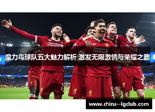 魔力鸟球队五大魅力解析 激发无限激情与荣耀之路