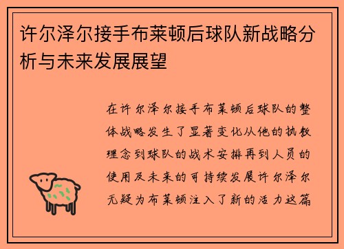 许尔泽尔接手布莱顿后球队新战略分析与未来发展展望 许尔泽尔接手布莱顿后球队新战略分析与未来发展展望